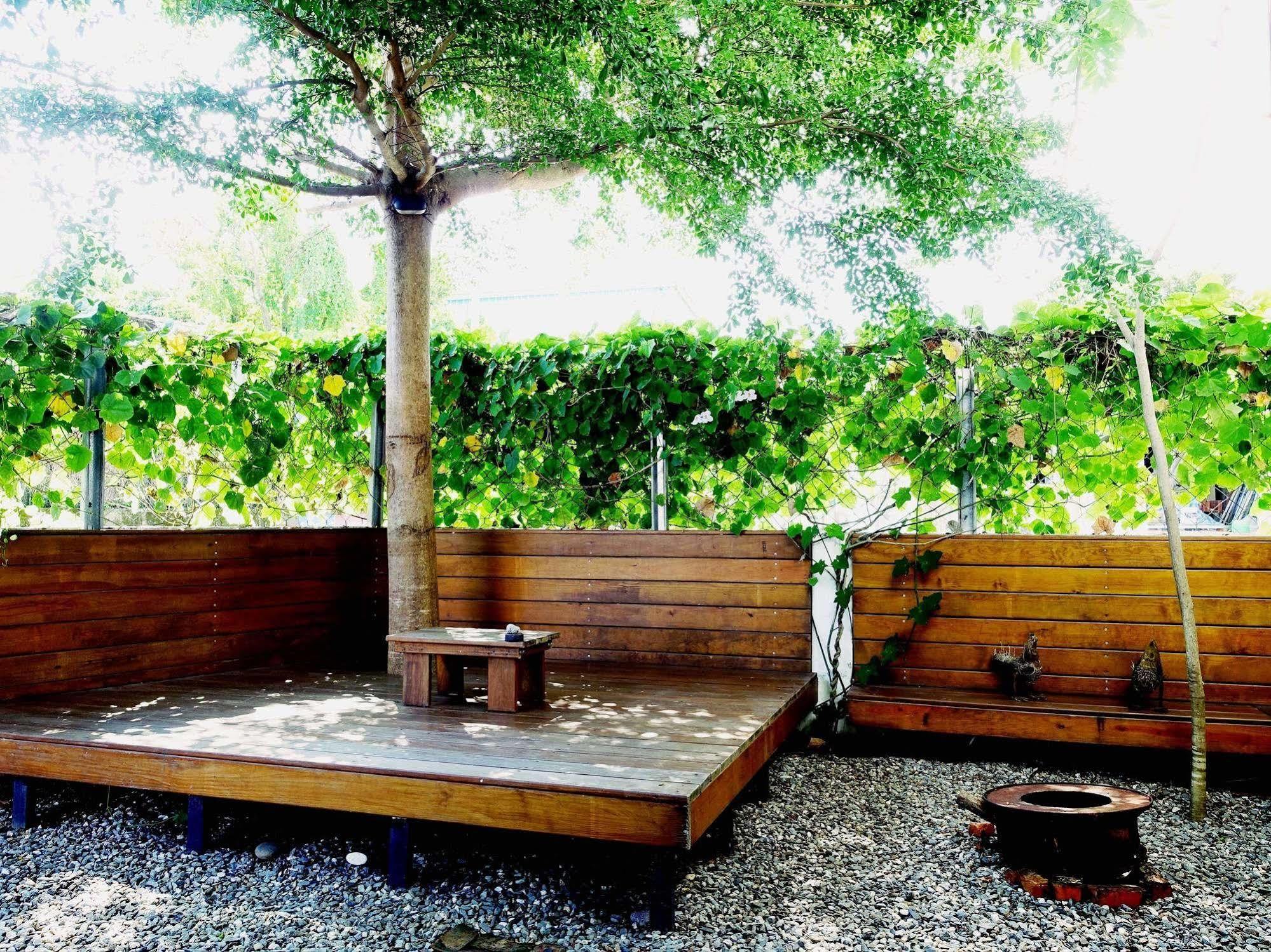 דונגהה 都蘭朋友家 Dulan Friends Hostel מראה חיצוני תמונה